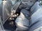 2026 Volkswagen Tiguan SE R-Line Black 4MOTION
